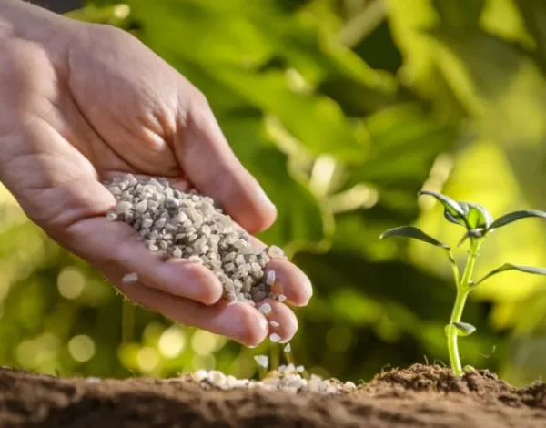 organomineral organomineral