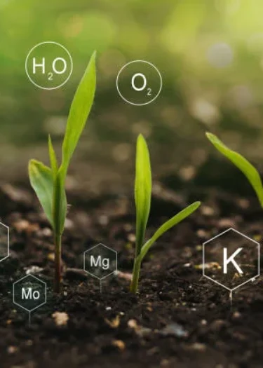 agritalia-anasayfa-banner-1